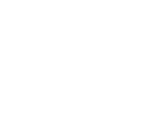 Virvon Logo