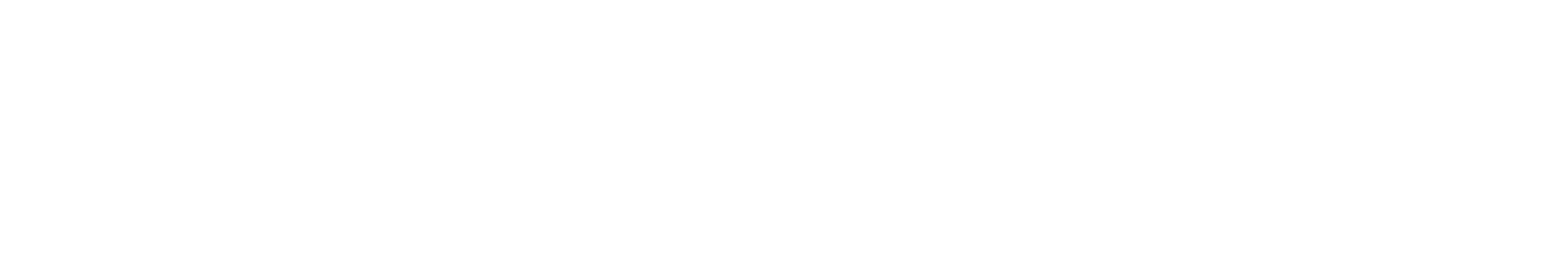 VIRVON Logo